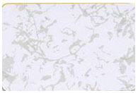 全鋼無邊防靜電地板常用顏色1